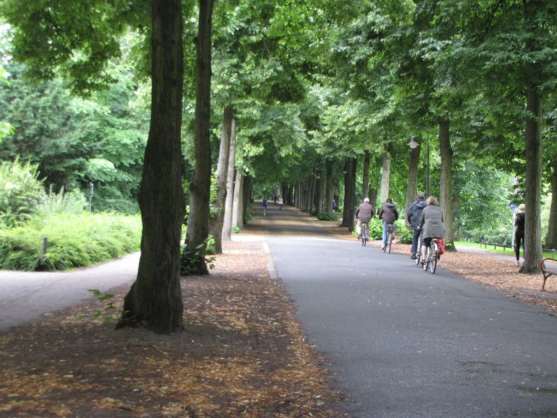 fietsrondweg munster.jpg - De tweede dag in Münster gebruiken we om een fietsroute rond de stad te fietsen langs diverse versterkte boerderijen die hier als wasserschloss bekend staan. Onze tocht gaat door de stad waar we gebruik maken van de unieke fietsrondweg die Münster rond de binnenstad heeft liggen.